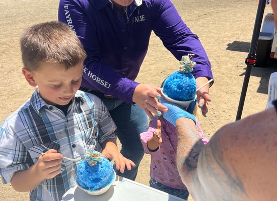 AunTisOnoShaveIce 27